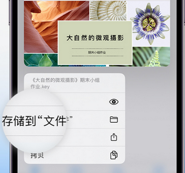 金山屯apple维修中心分享iPhone文件应用中存储和找到下载文件