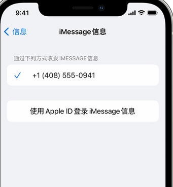 金山屯apple维修iPhone上无法正常发送iMessage信息 