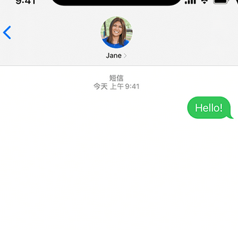 金山屯apple维修iPhone上无法正常发送iMessage信息