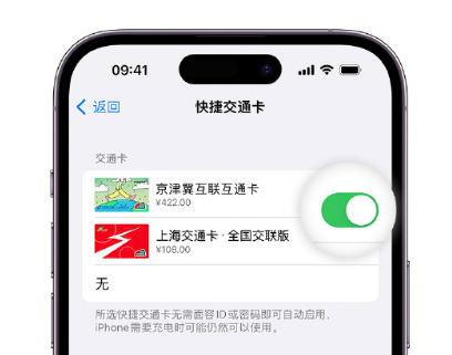 金山屯apple维修点分享iPhone上更换Apple Pay快捷交通卡手绘卡面 