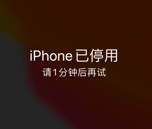 金山屯苹果手机维修分享:iPhone 显示“不可用”或“已停用”怎么办？还能保留数据吗？ 