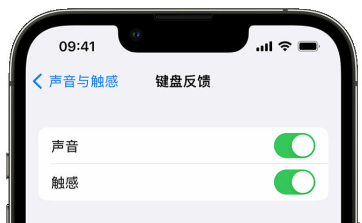 金山屯苹果手机维修分享iPhone 14触感键盘使用方法 
