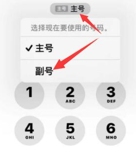 金山屯苹果14维修店分享iPhone 14 Pro Max使用副卡打电话的方法 