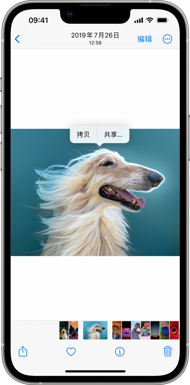 金山屯苹果手机服务点分享使用 iPhone 的 10 个小技巧 
