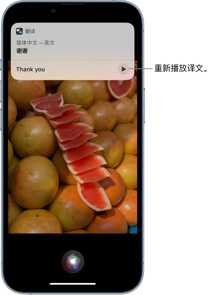 金山屯苹果14维修分享 iPhone 14 机型中使用 Siri：了解 Siri 能帮你做什么 