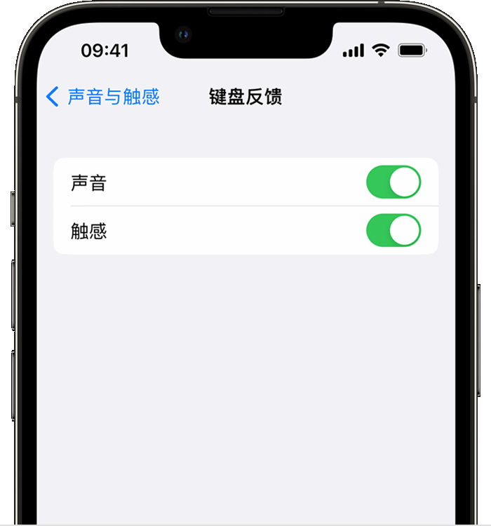 金山屯苹果14维修分享iPhone 14 系列机型如何开启键盘声音或触感反馈 