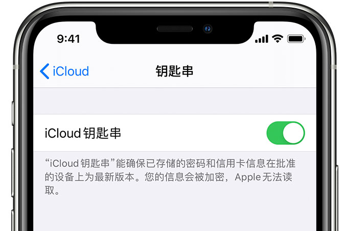 金山屯苹果手机维修分享在 iPhone 上开启 iCloud 钥匙串之后会储存哪些信息 