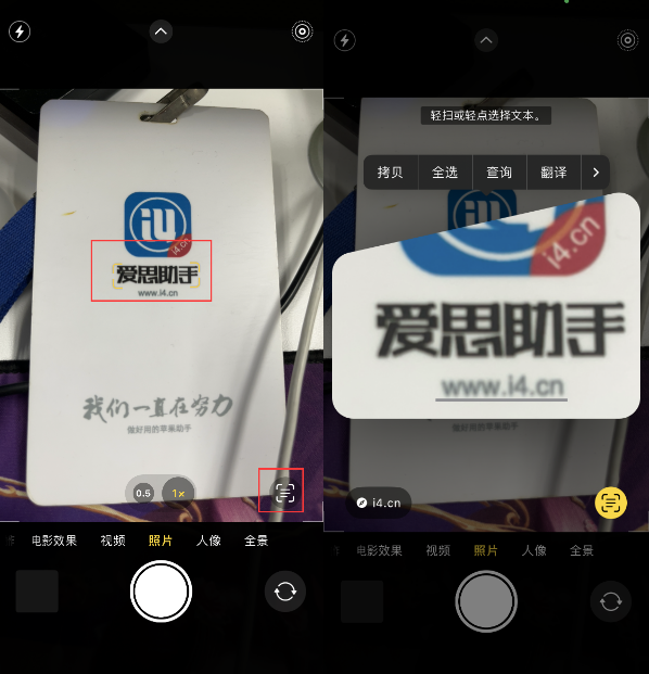 金山屯苹果手机维修分享升级iOS 16后如何通过相机翻译文本 
