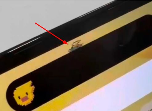 金山屯苹果14维修分享iPhone 14 Pro Max灵动岛怎么养宠物 