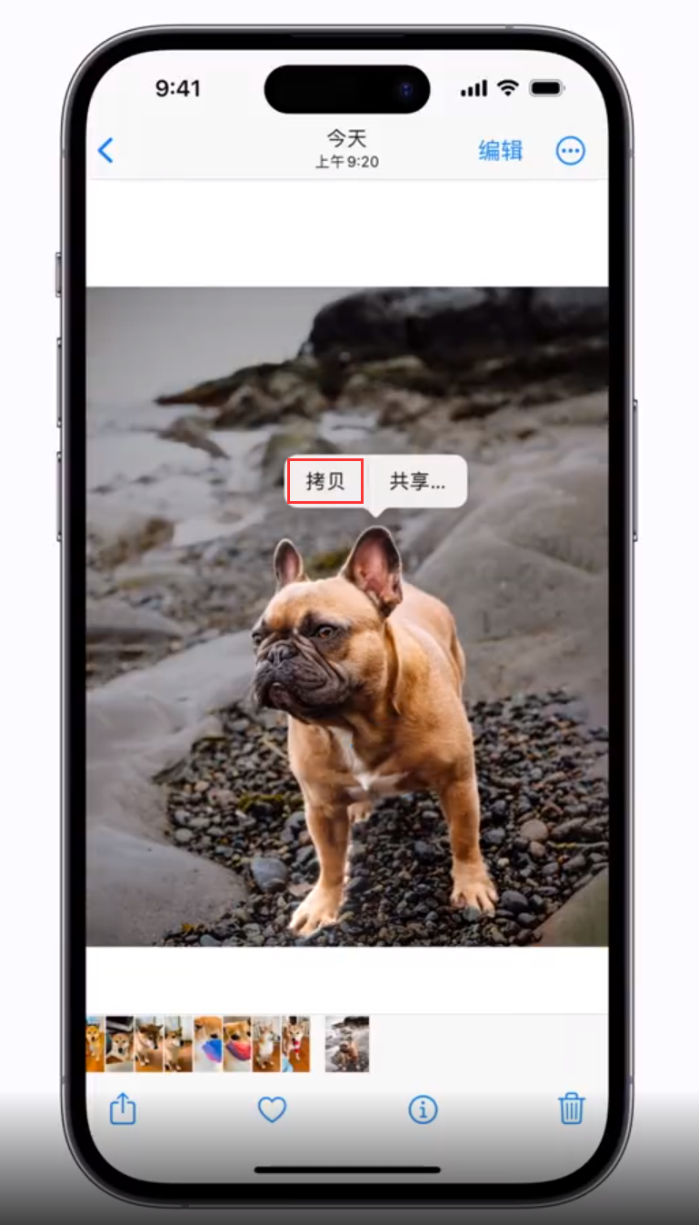金山屯苹果手机维修分享 iOS 16 自带一键抠图功能 