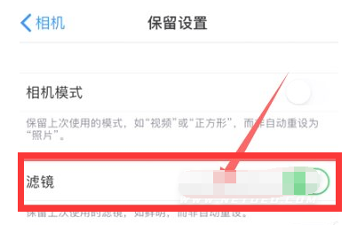 金山屯苹果13维修分享iPhone13拍照有绿点是怎么回事 
