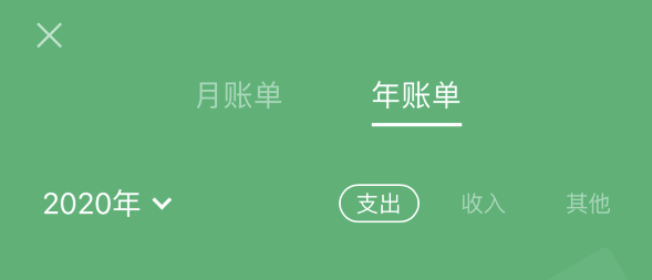 金山屯苹果手机维修分享如何在 iPhone 上查看支付宝和微信年支出账单 